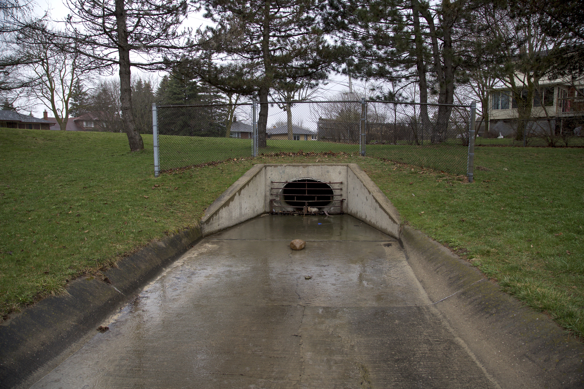 05 Bullfrog Pond Park - Sounding the City 003 - Guelph 2018