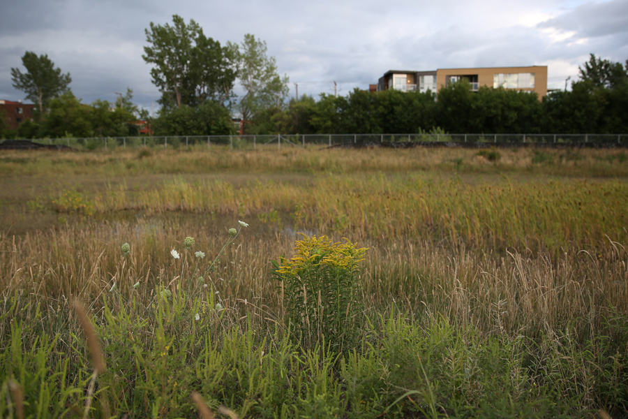 10 Outremont Wasteland - Capture photo 2 - Sounding the City 001 - Montréal 2015-2016