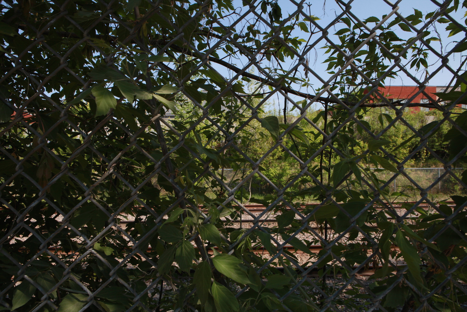 03 Chemin des Carrières - Installation photo 2 - Sounding the City 001 - Montréal 2015-2016