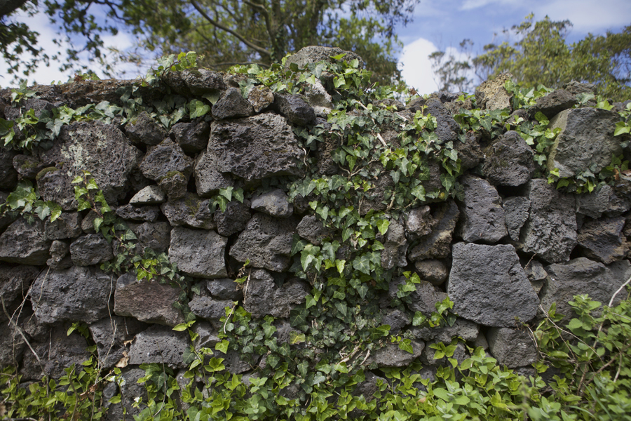 03 São Vicente Ferreira Hill - Capture photo 5 - Sounding the City 002 - São Miguel 2017