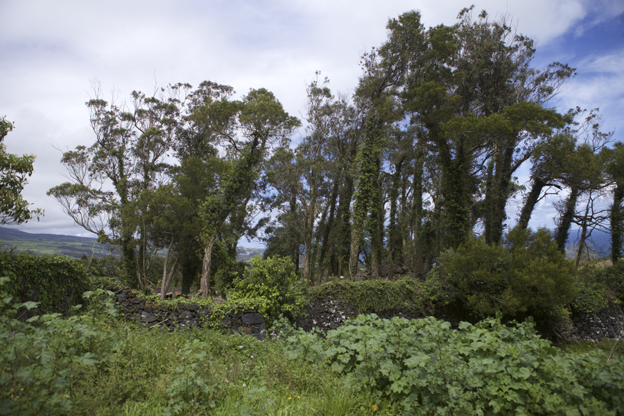 03 São Vicente Ferreira Hill - Capture photo 6 - Sounding the City 002 - São Miguel 2017