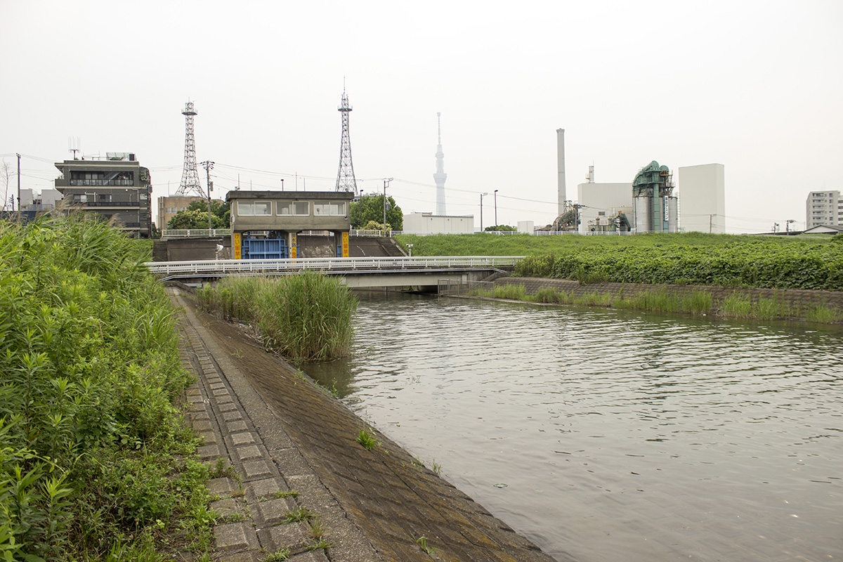 01 Arakawa River - Higashisumida - Installation photo 7 - Sounding the City 005 - Sumida-ku 墨田区 2019