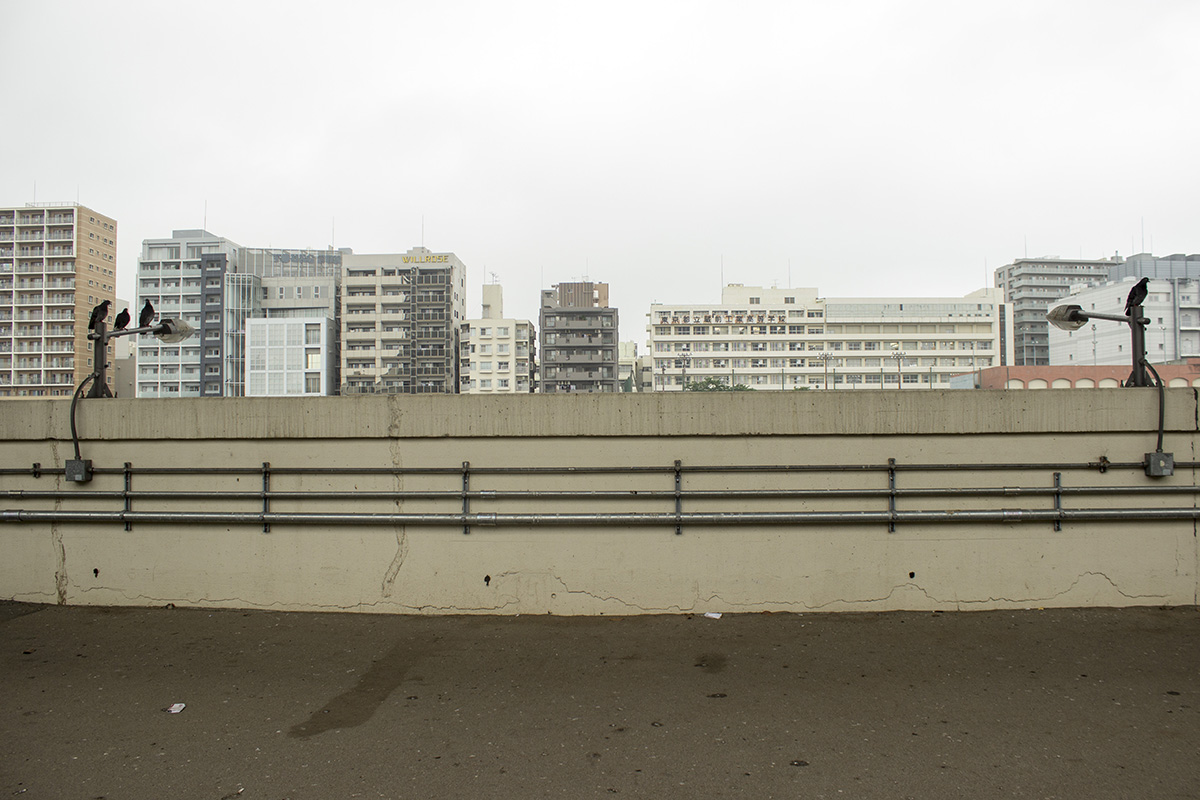 02 Sumida River - Yokoami - Installation photo 4 - Sounding the City 005 - Sumida-ku 墨田区 2019